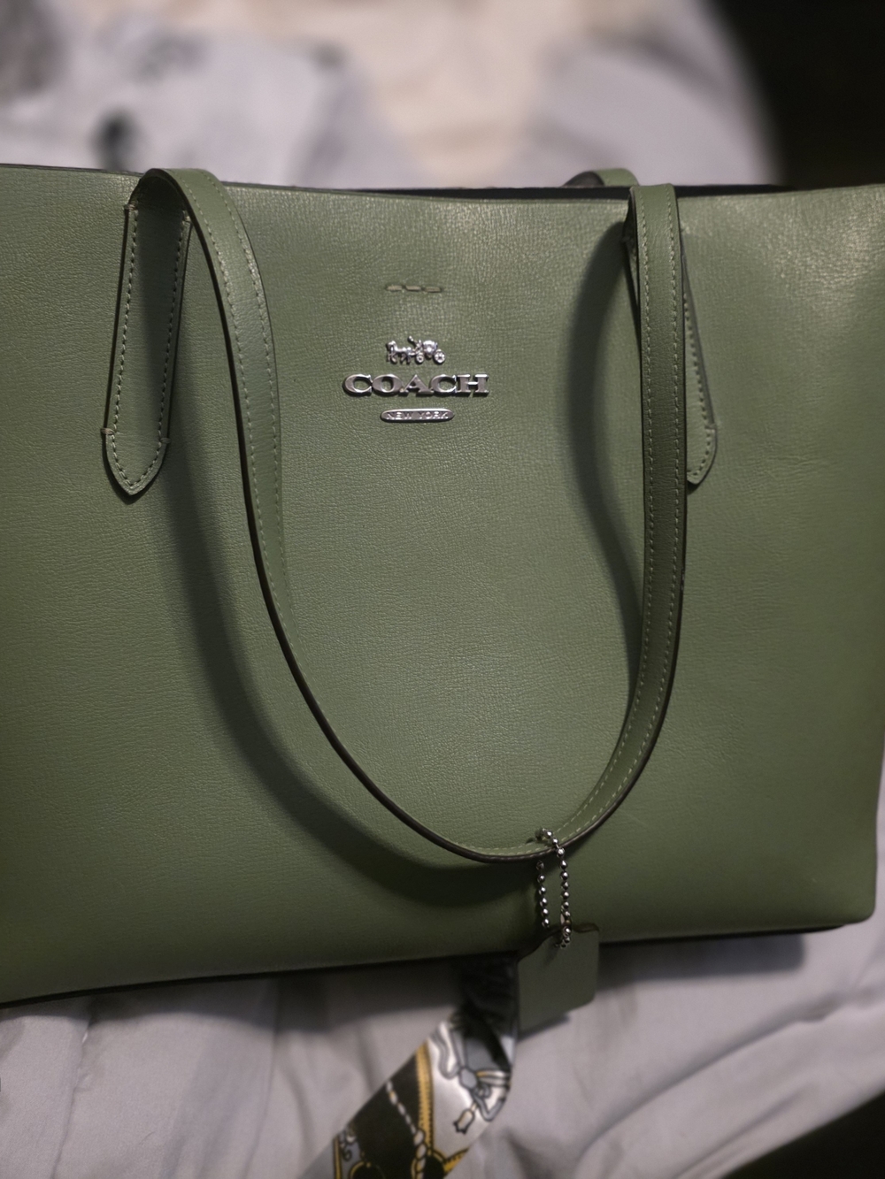 Coach Willow Leather Tote Bag in Olive Green